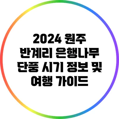 2024 원주 반계리 은행나무 단풍 시기 정보 및 여행 가이드