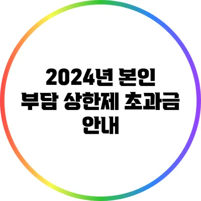 2024년 본인 부담 상한제 초과금 안내