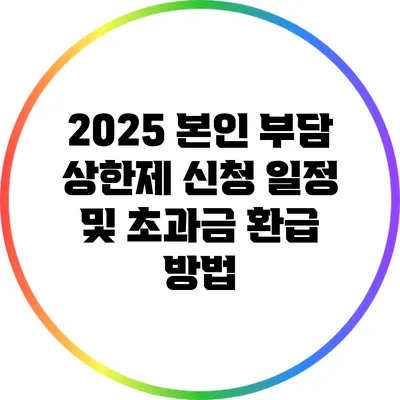 2025 본인 부담 상한제 신청 일정 및 초과금 환급 방법