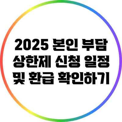 2025 본인 부담 상한제 신청 일정 및 환급 확인하기