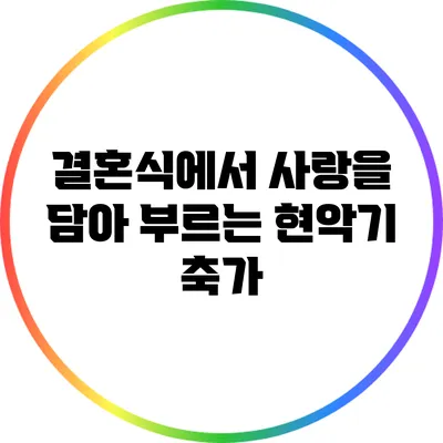 결혼식에서 사랑을 담아 부르는 현악기 축가