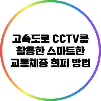 고속도로 CCTV를 활용한 스마트한 교통체증 회피 방법