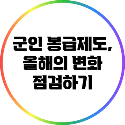 군인 봉급제도, 올해의 변화 점검하기
