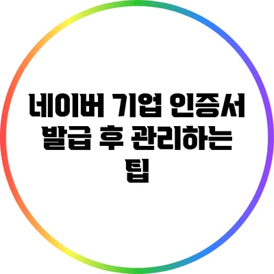 네이버 기업 인증서: 발급 후 관리하는 팁
