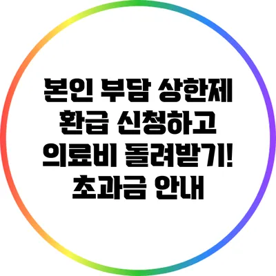 본인 부담 상한제 환급 신청하고 의료비 돌려받기! 초과금 안내