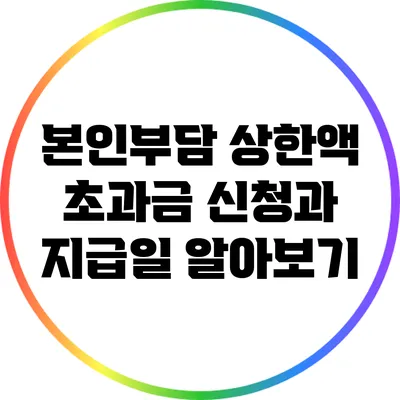 본인부담 상한액 초과금 신청과 지급일 알아보기