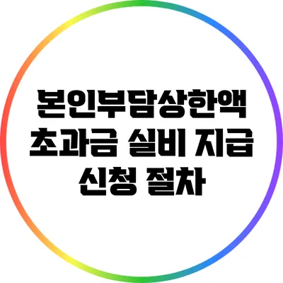 본인부담상한액 초과금 실비 지급 신청 절차