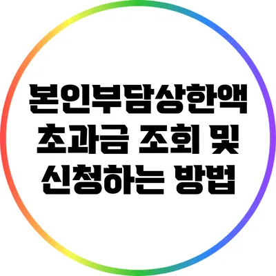 본인부담상한액 초과금: 조회 및 신청하는 방법