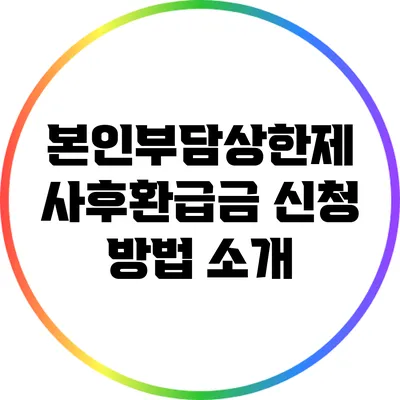 본인부담상한제: 사후환급금 신청 방법 소개