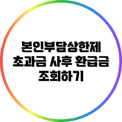 본인부담상한제 초과금 사후 환급금 조회하기