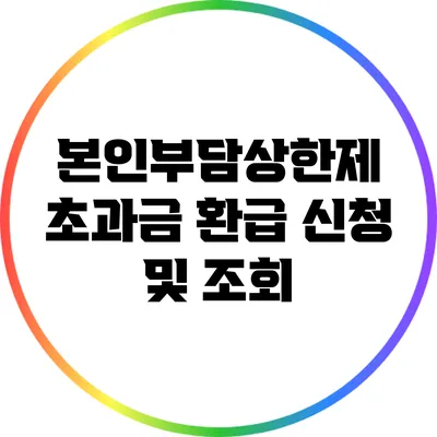 본인부담상한제 초과금 환급 신청 및 조회