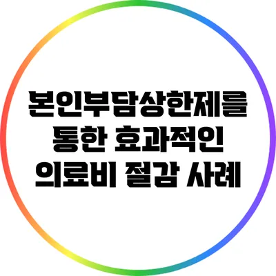 본인부담상한제를 통한 효과적인 의료비 절감 사례