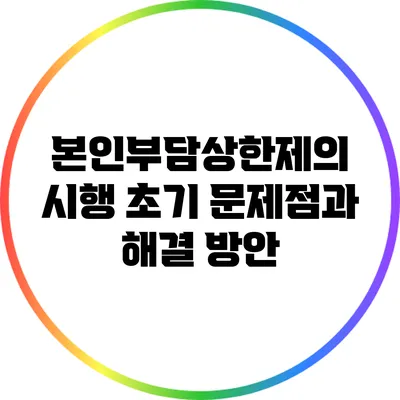 본인부담상한제의 시행 초기 문제점과 해결 방안