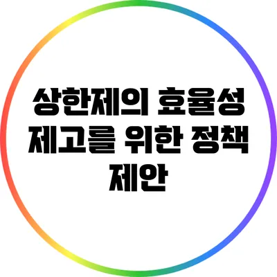 상한제의 효율성 제고를 위한 정책 제안