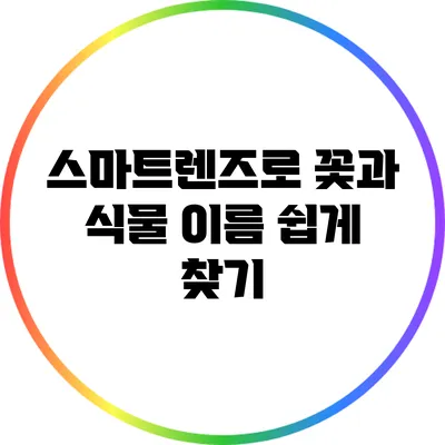 스마트렌즈로 꽃과 식물 이름 쉽게 찾기