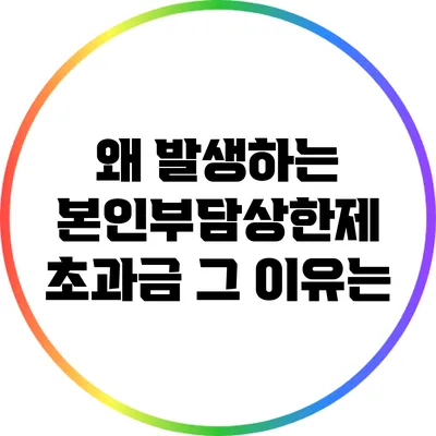 왜 발생하는 본인부담상한제 초과금? 그 이유는?