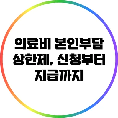 의료비 본인부담 상한제, 신청부터 지급까지