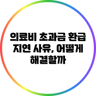 의료비 초과금 환급 지연 사유, 어떻게 해결할까?