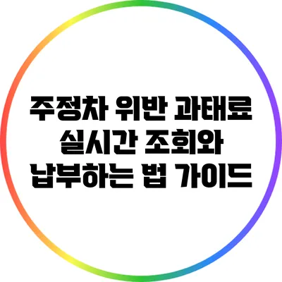 주정차 위반 과태료 실시간 조회와 납부하는 법 가이드