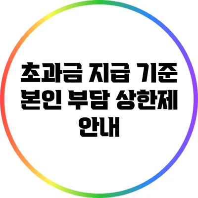 초과금 지급 기준: 본인 부담 상한제 안내