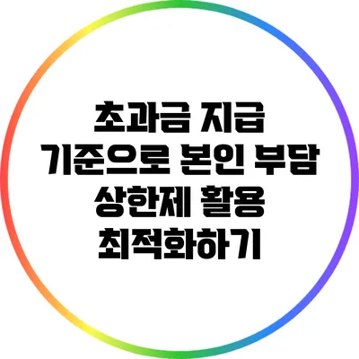 초과금 지급 기준으로 본인 부담 상한제 활용 최적화하기