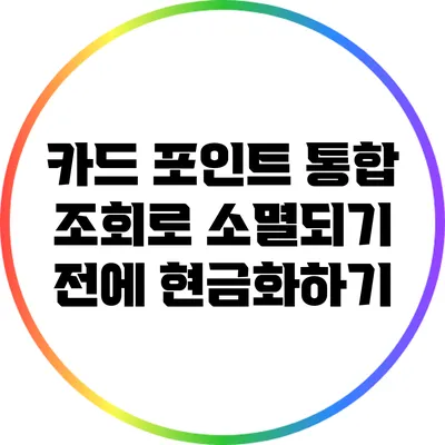 카드 포인트 통합 조회로 소멸되기 전에 현금화하기