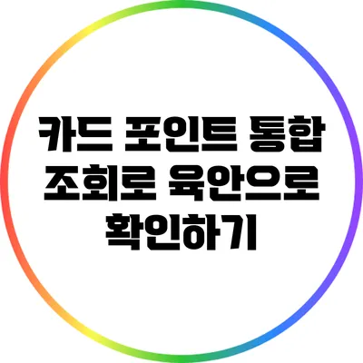 카드 포인트 통합 조회로 육안으로 확인하기