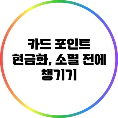 카드 포인트 현금화, 소멸 전에 챙기기
