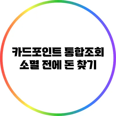 카드포인트 통합조회: 소멸 전에 돈 찾기
