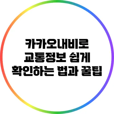 카카오내비로 교통정보 쉽게 확인하는 법과 꿀팁