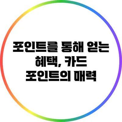 포인트를 통해 얻는 혜택, 카드 포인트의 매력