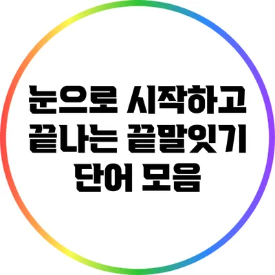 눈으로 시작하고 끝나는 끝말잇기 단어 모음