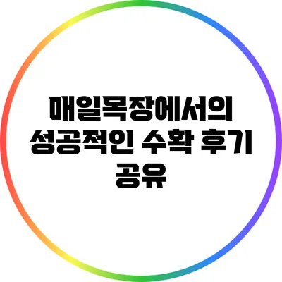 매일목장에서의 성공적인 수확 후기 공유
