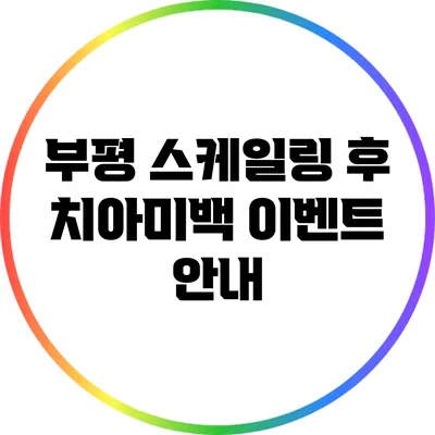 부평 스케일링 후 치아미백 이벤트 안내