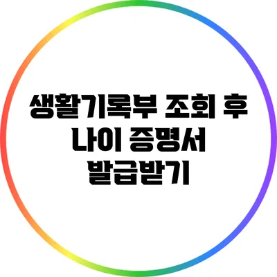 생활기록부 조회 후 나이 증명서 발급받기