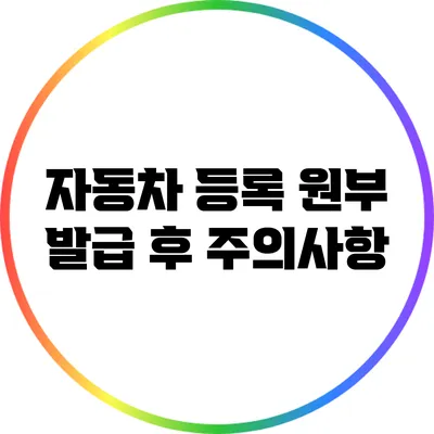 자동차 등록 원부 발급 후 주의사항