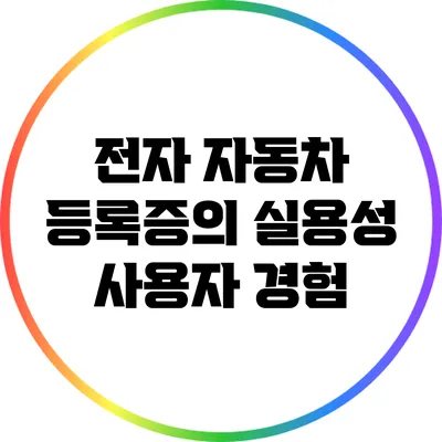 전자 자동차 등록증의 실용성: 사용자 경험