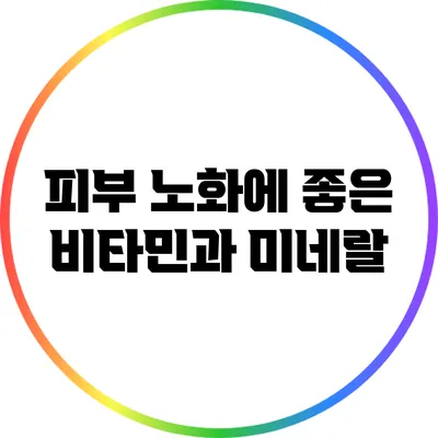 피부 노화에 좋은 비타민과 미네랄