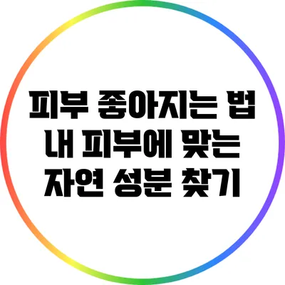 피부 좋아지는 법: 내 피부에 맞는 자연 성분 찾기