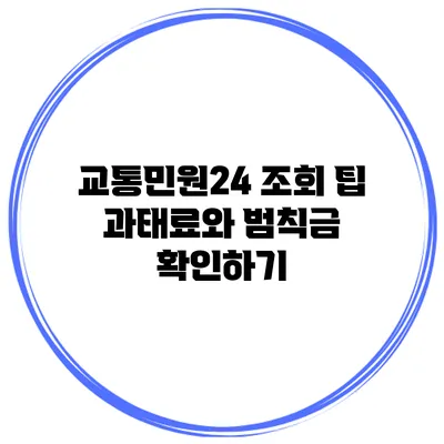 교통민원24 조회 팁 과태료와 범칙금 확인하기