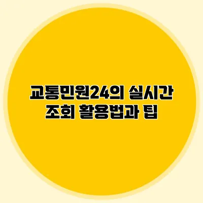 교통민원24의 실시간 조회 활용법과 팁