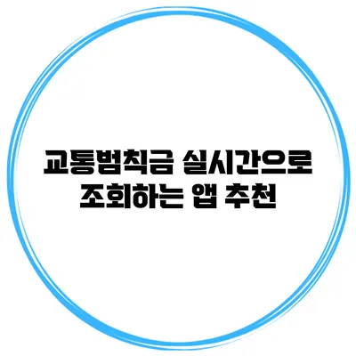 교통범칙금 실시간으로 조회하는 앱 추천