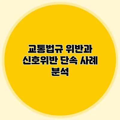 교통법규 위반과 신호위반 단속 사례 분석