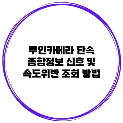 무인카메라 단속 종합정보 신호 및 속도위반 조회 방법
