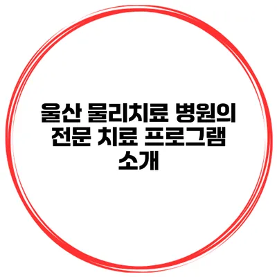 울산 물리치료 병원의 전문 치료 프로그램 소개