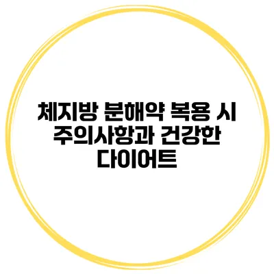 체지방 분해약 복용 시 주의사항과 건강한 다이어트