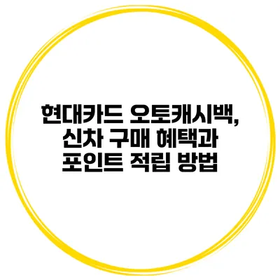 현대카드 오토캐시백, 신차 구매 혜택과 포인트 적립 방법