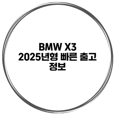 BMW X3 2025년형 빠른 출고 정보