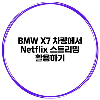 BMW X7 차량에서 Netflix 스트리밍 활용하기