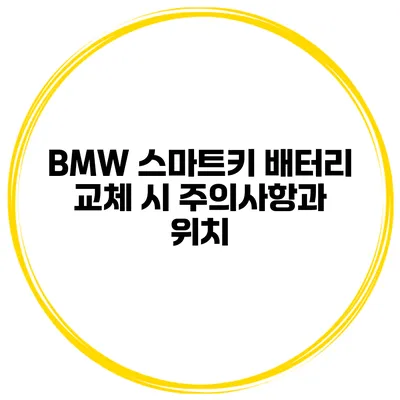 BMW 스마트키 배터리 교체 시 주의사항과 위치
